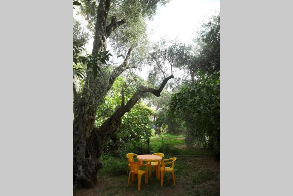 Bmv Room For 2-3 With Greenery View Sveti Stefan Dış mekan fotoğraf